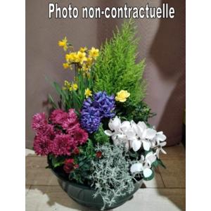 Moyenne Coupe de Plantes